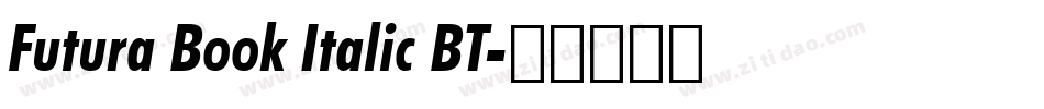 Futura Book Italic BT字体转换